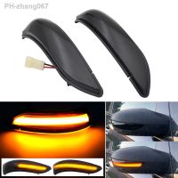 Dynamic Sequential Blinker Rearview Mirror Lamp Flashing Turn Signal Lights For Mercedes Benz A B Class W169 W245 2004-2008