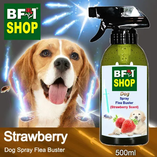 do strawberries kill dogs