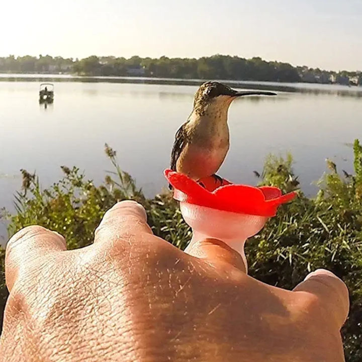 hummingbird-ring-feeder-hand-feed-hummingbirds-ในสวนหลังบ้านของคุณใกล้ชิดและเป็นส่วนตัวกับธรรมชาติ