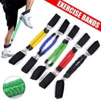 【CW】 Gym Ankle Leg Resistance Bands Elasticity Training Straps Exercise Elastic Band Workout Expander