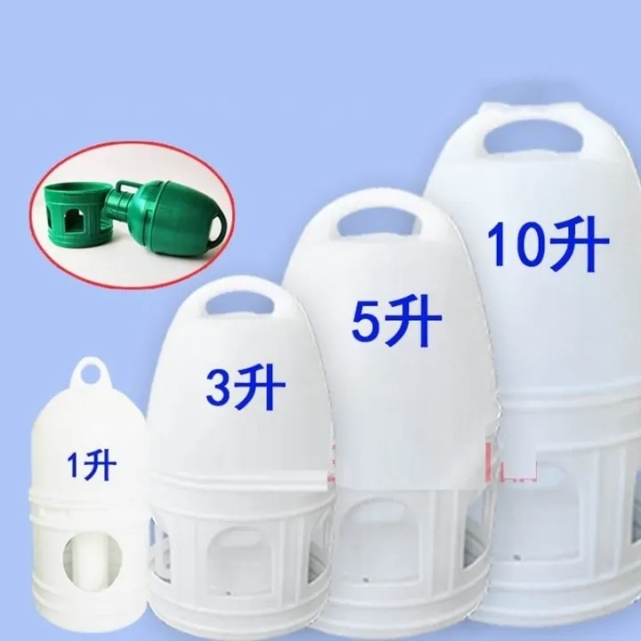 Pigeons appliance with pigeon pigeons automatic water feeding water to drink water drinking