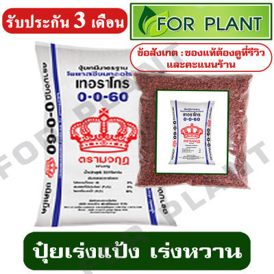 ปุ๋ย สูตร 0-0-60 ตรามงกุฎ บรรจุเริ่มต้นที่ 1 กก. / 2 กก. / 5 กก. / 10 กก. / 15 กก. บำรุง ราก ปุ๋ยเร่งขนาด เร่งหวาน ใส่ผัก ผลไม้ ไม้ดอกไม้ประดับ