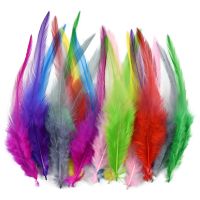 20Pcs/Lot Colored Pheasant Feathers for Needlework Jewelry Handicrafts Chicken Dream Catcher Fly Accessories Wedding Decoration