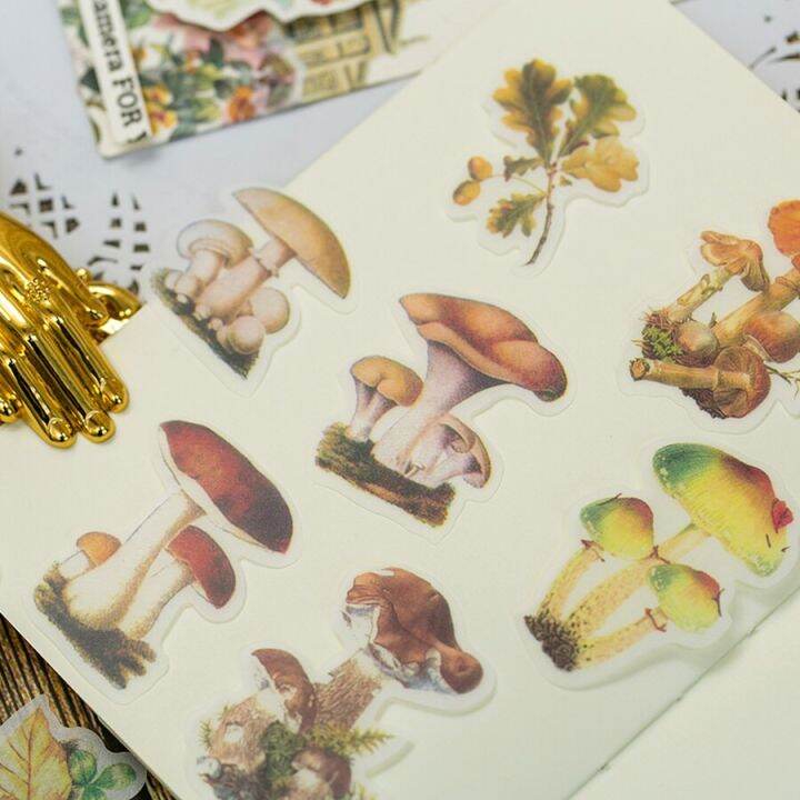 mr-paper-60pcs-bag-vintage-stickers-botanical-nostalgic-victorian-style-hand-account-diy-material-decorative-stationery-sticker