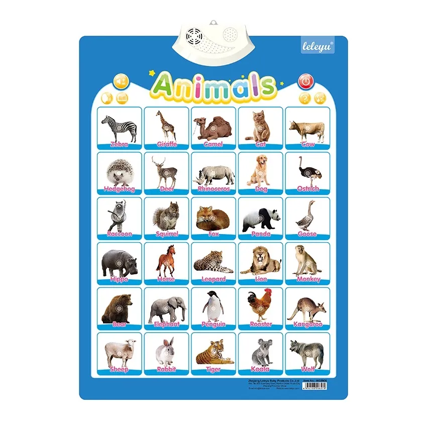 Talking Educational Wall Poster Sound Chart ABC Electronic Interactive  Alphabet / Fruits / Animals | Lazada PH