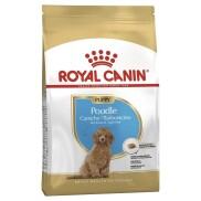 500GR Hạt khô ROYAL CANIN POODLE Puppy Adult dành cho chó