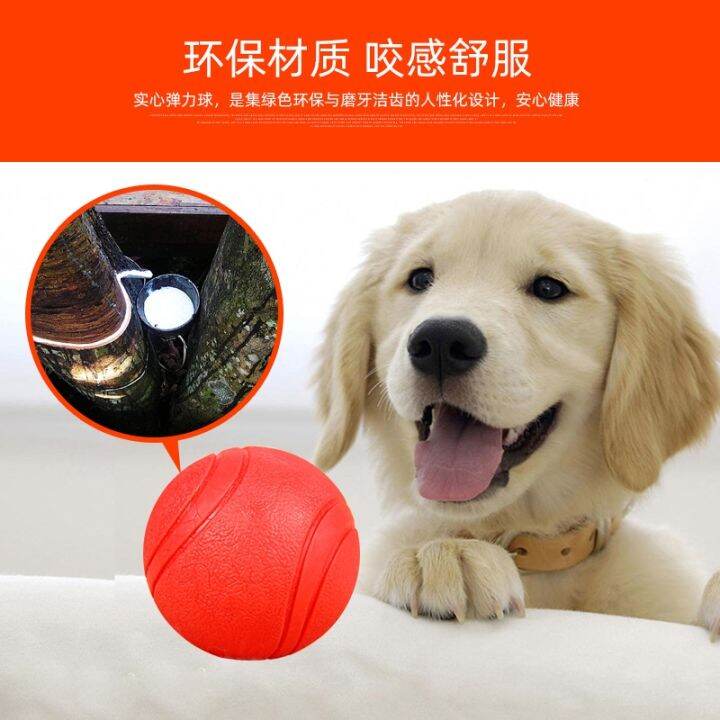 cod-dog-toy-ball-bite-resistant-solid-elastic-medium-and-large-dogs-golden-retriever-grinding-teeth-to-relieve-boredom-pet-dog-training