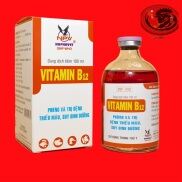 VITAMIN B12 100ML cho gà đá