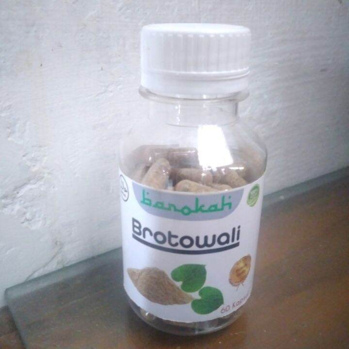 Obat Gatal Kulit Kapsul Brotowali 60 Kapsul Herbal Kulit | Lazada Indonesia