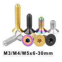 Titanium Countersunk Head Screws