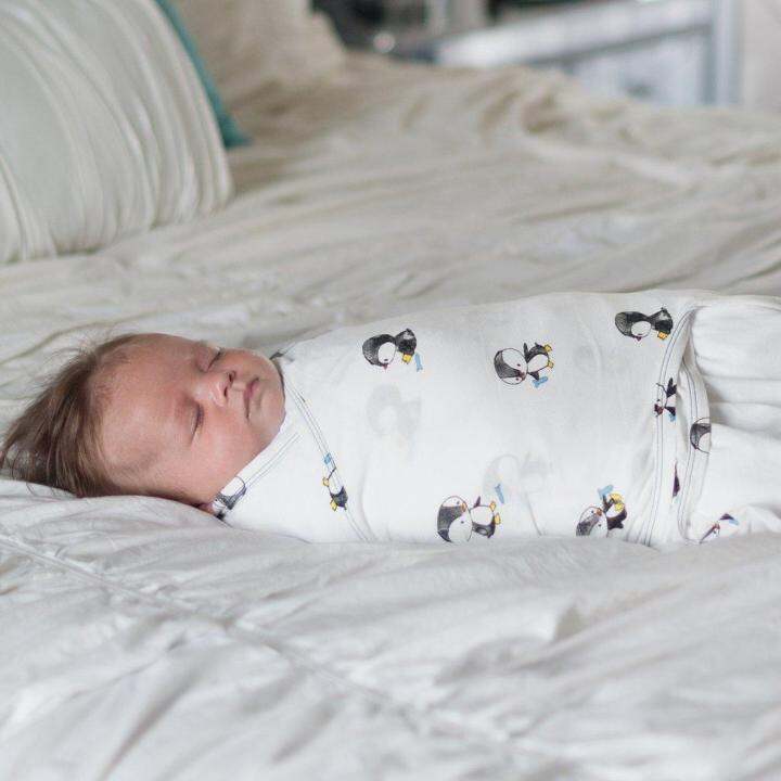 Zen Swaddle ผ้าห่อตัวสำเร็จรูปกันสะดุ้ง รุ่น Premier ลาย Deepsea Diver