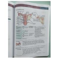 /เครื่องมือฉุกเฉินสำหรับ USMLE ขั้นตอนที่1 2022สามสิบวินาที