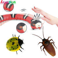 Ls【 Ready Stock 】เด็กอัจฉริยะเหนี่ยวนำงูแมลงสาบ Ladybird ของเล่น Auto Sleeping อุปสรรคการหลีกเลี่ยง Tricky Interactive Toy1【cod】