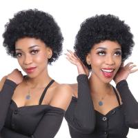 Cheap Afro Human Hair Kinky Curly Wigs For Black Women Short Bob Natural Fluffy Wig zilian Human Hair Sale Glueless