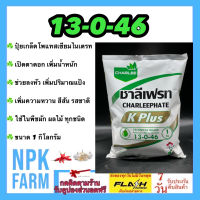 13-0-46 ชาลีเฟรท ขนาด 1 กิโลกรัม เร่งแป้ง เพิ่มน้ำหนัก ลงหัว เร่งสี บำรุงผล เพิ่มผลิต ฮอร์โมนพืช อาหารเสริมพืช ใช้กับพืชทุกชนิด npkplant