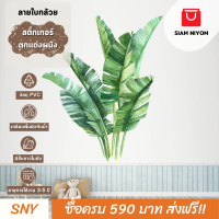 Siam Niyom สยามนิยม สติ๊กเกอร์ตกแต่งผนัง ลายใบกล้วย สติกเกอร์ผนัง สติ๊กเกอร์ ผนัง สติ๊กเกอร์ติดผนัง สติกเกอร์ตกแต่งผนัง สติกเกอร์ติดผนัง