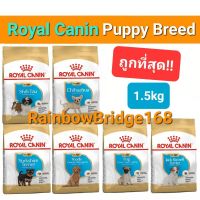 Royal Canin Breed Chihuahua Shihtzu Poodle York Pug Jack Russel Puppy 1.5kg โรยัลคานิน ลูกสุนัข ชิวาว่า  ชิห์สุ ยอร์ค ปั๊ก พุดเดิ้ล แจ็ครัสเซลล์ ถุง 1.5 กิโลกรัม