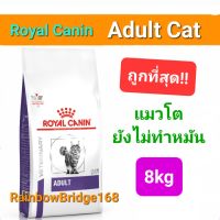 Royal Canin Adult 8kg cat โรยัลคานิน อาหารแมวโต ไม่ทำหมัน อายุ1ปีขึ้นไป โรยัลคานิน ขนาดถุง 8 กิโลกรัม