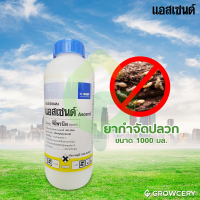 [G] สารกำจัดแมลง ยากำจัดปลวก แอสเซนด์ ฟิโพรนิล ขนาด 1000 มล. ยี่ห้อ แอสเซนด์ (ปลวกตายยกรัง เมื่อสัมผัสหรือกินยาเข้าไป) จำหน่ายโดย GROWCERY