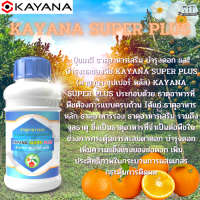 ปุ๋ยเคมี ธาตุอาหารเสริม บำรุงดอก และบำรุงผลของพืช KAYANA SUPER PLUS ธาตุอาหารที่จำเป็นต่อพืชในช่วงการกระตุ้นการสะสมตาดอก