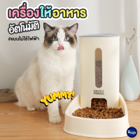 Royalty Pets เครื่องให้อาหารสัตว์เลี้ยงอัตโนมัติ KIMPETS ขนาดใหญ่ 3.8 ลิตร ชามสัตว์เลี้ยง ชามอาหาร น้ำ สุนัข หมา แมว RY024