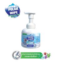 โพลาร์ Polar Klean Mousse Hand Soap 250 ml.โฟมมูสล้างมือ แบบล้างน้ำออก ลดการสะสมแบคทีเรีย99.99%