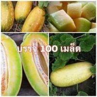 เมล็ดเเตงไทย (ผลรี) 100 เมล็ด [10 เเถม 1 คละได้]