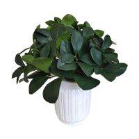 【cw】 Artificial Bonsai Ornaments Fake Room Office Decoration Accessories