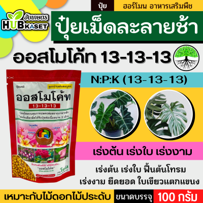 ออสโมโค้ท 100กรัม (สูตร 13-13-13) ใส่เพียงครั้งเดียว พืชได้รับปุ๋ยต่อเนื่องนาน 3เดือน