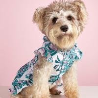 Dog Dress Breathable Girlish Pet Supplies Ruffles Dog Ethnic Style Skirt for Dog Dresses