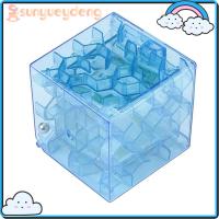3D Plastic Maze Piggy Bank Cube Transparent Intelligence Sequential Brain Game for Kids