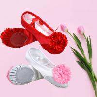 COD DSFGERERERER Lolanta Kids Women Canvas Ballet Gym Dance Shoe Lovely Flower Anti-Slip Flat Yoga Girl Baby White Shoes