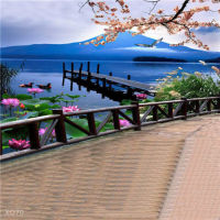 Live Background Wall Video Studio Anchor 3D Landscape Pastoral Fast Hand Internet Sensation Background Cloth