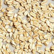 Yến mạch tươi nguyên hạt cán dẹt và cán vỡ COBIFOOD hữu cơ organic giảm
