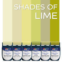 สีขนาดทดลอง Dulux Colour Play™ Tester - SHADES OF LIME (6 ชิ้น)