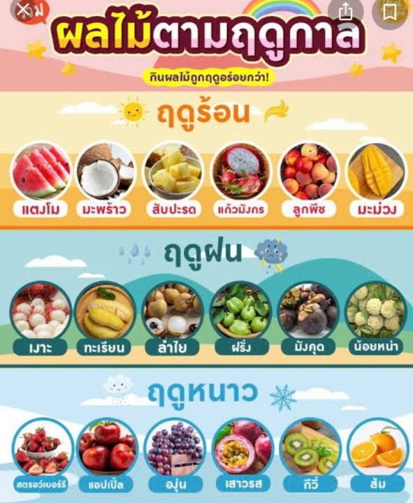 ขายดี-ส่งฟรี-เปลือกส้มโอ-50-กรัม-ผลไม้อบแห้ง-ผลไม้เพื่อสุขภาพ-ผลไม้จากเกษตรกรชาวไทย-ของฝาก-ของทานเล่น-otop