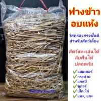 [ส่งฟรี] ฟางข้าวรองพื้นกรงสัตว์เลี้ยง ฟางข้าวอบแห้ง ฟางข้าวออร์แกรนิค ฟางข้าวสำหรับปูพื้นกรงสำหรับสัตว์เลี้ยง