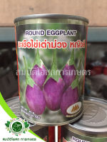 เมล็ดมะเขือไข่เต่าม่วง หญิงลี Round Eggplant ตราภูเขาทอง ขนาด40กรัม