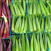 เมล็ดพันธุ์ กระเจี๊ยบเขียวคิมสัน (Clemson Spineless Okra Seed) บรรจุ 70 เมล็ด คุณภาพดี ราคาถูก ของแท้ 100%