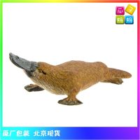 ? Genuine and exquisite model Safari platypus duck otter simulation wild animal model toy 283529