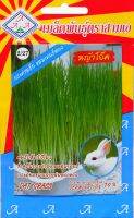 หญ้าโอ๊ต Oat Grass สำหรับกระต่าย (Rabbit), แฮมสเตอร์ (Hamster) และสัตว์กินพืชขนาดเล็ก เมล็ดพันธุ์ตราสามเอ 1 ซอง น้ำหนักสุทธิ 10 กรัม อัตราความงอก 70%