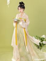 【 โยก 】 Qiyueji Hanfu หญิงทำจากราชวงศ์ถังกระดุมสองแถวกระโปรงขาดหน้าอกแบบชิ้นเดียวพิมพ์ลายคืนฤดูใบไม้ผลิและฤดูร้อน ~