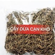 SALE SALE SIÊU SALE 500gr cây dừa cạn khô HB127 SALE