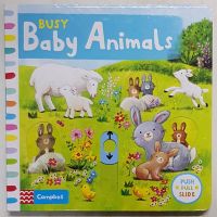 Baby Animals (push pull slide book) board book เหมาะสำหรับ 1+ กระดาษแข็งหนาทุกหน้า