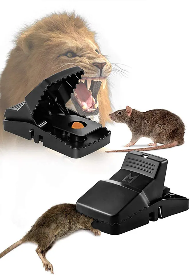 6Pcs Premium Reusable Mouse Traps Rodent Snap Trap Rat Trap Mouse