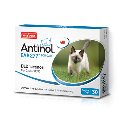 อาหารเสริมสำหรับแมว Antinol® EAB 277™ (30 แคปซูล)