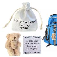 Pocket Bear in Bag Tiny Pocket Bear Mini Bear Plush Stuffed Animal Sympathy Gift Inspirational Toy Soft Stuffed Doll for Party Favors Birthday Gifts remarkable