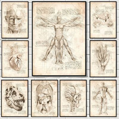 Vintage Da Vinci แรงบันดาลใจ Sketches Vitruvian Man ทันตกรรมมนุษย์ Anatomy โปสเตอร์ Wall Art ภาพภาพวาดผ้าใบ Home Room Decor ใหม่