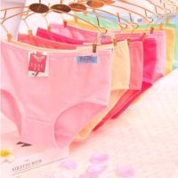 Multicolor Soft Stretchable Spandex Panty M L XL XXL XXXL for Women