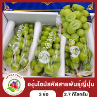 องุ่นไซมัสคัส Shine muscat เนื้อเยลลี่ นุ่มละมุนลิ้น รสหวานหอม 3 ช่อ ส่งฟรี